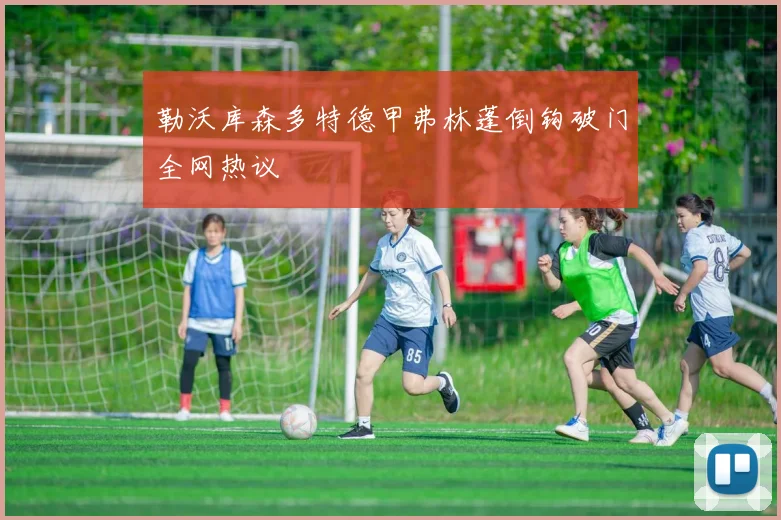 勒沃库森多特德甲弗林蓬倒钩破门全网热议