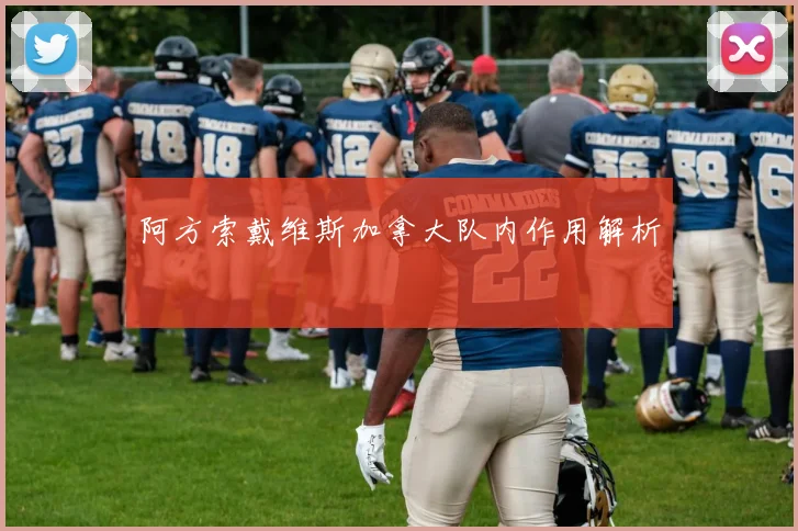 阿方索戴维斯加拿大队内作用解析
