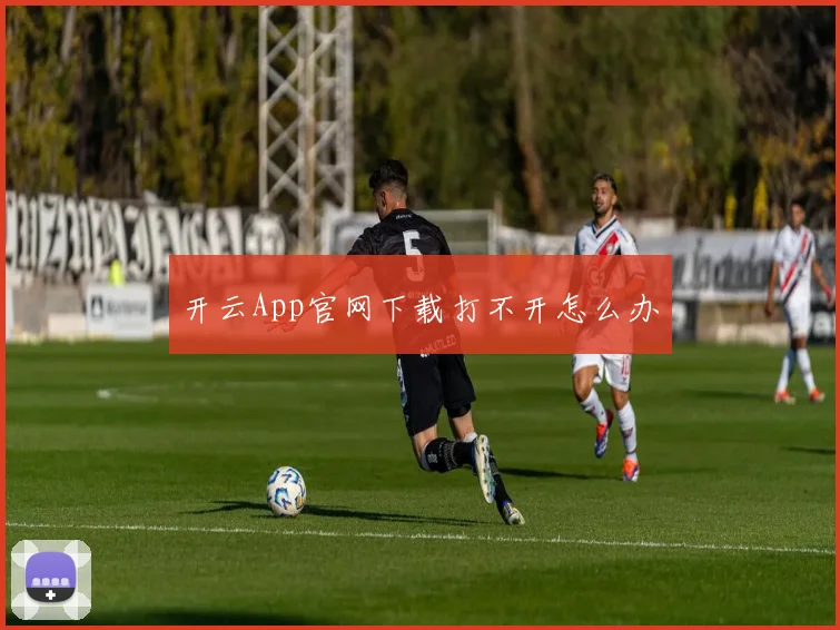 开云App官网下载打不开怎么办