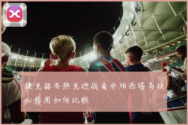 捷克赫洛热克迎战南非珀西塔乌核心作用如何比较