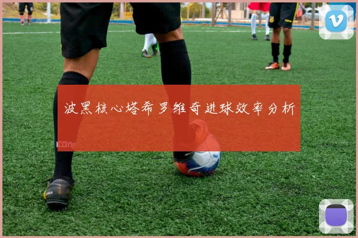 波黑核心塔希罗维奇进球效率分析