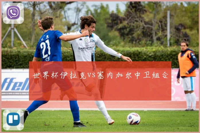 世界杯伊拉克vs塞内加尔中卫组合