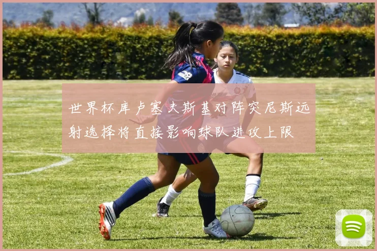 世界杯库卢塞夫斯基对阵突尼斯远射选择将直接影响球队进攻上限